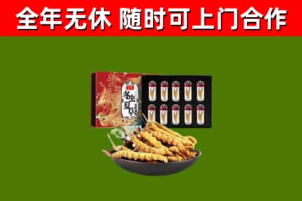 开原市回收冬虫夏草价格